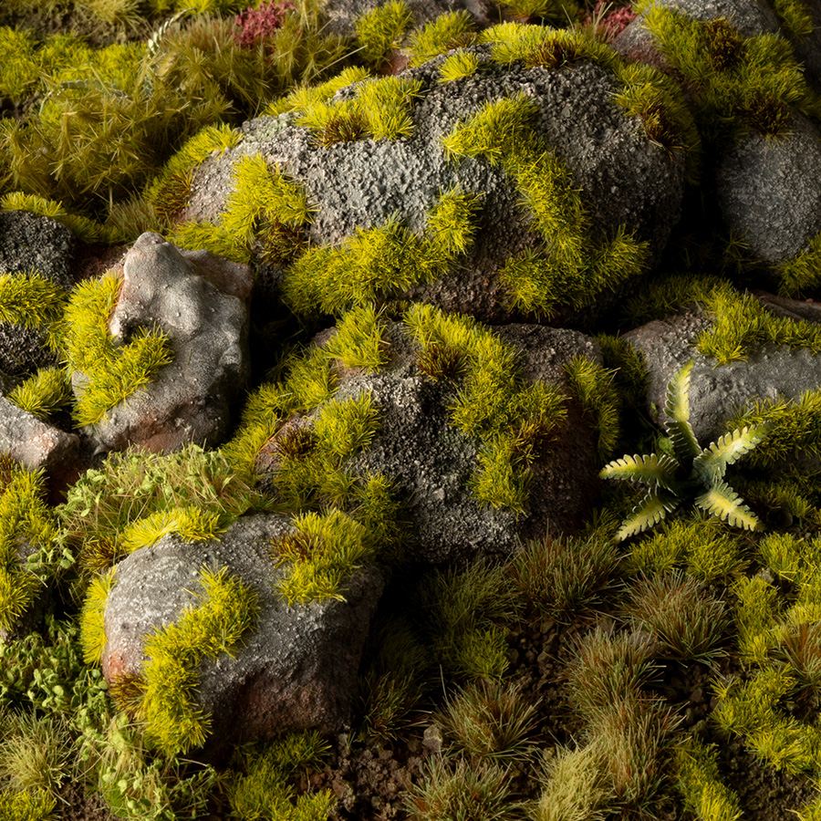 Gamer's Grass Moss 2mm Wild